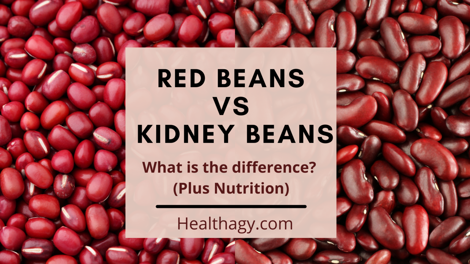 Red Beans vs Kidney Beans What is the Difference? (Plus Nutrition) Healthagy