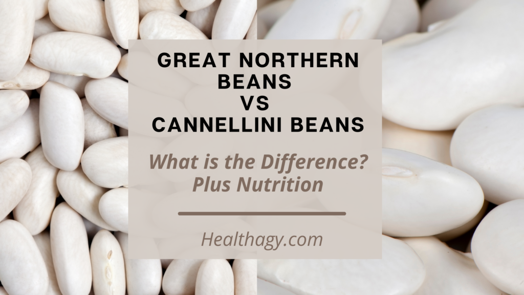 Great Northern Beans Vs Cannellini Beans 1024x576 