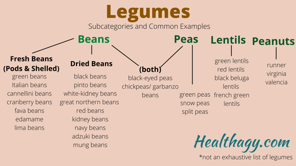 Difference Between A Legume And A Bean at John Sollars blog