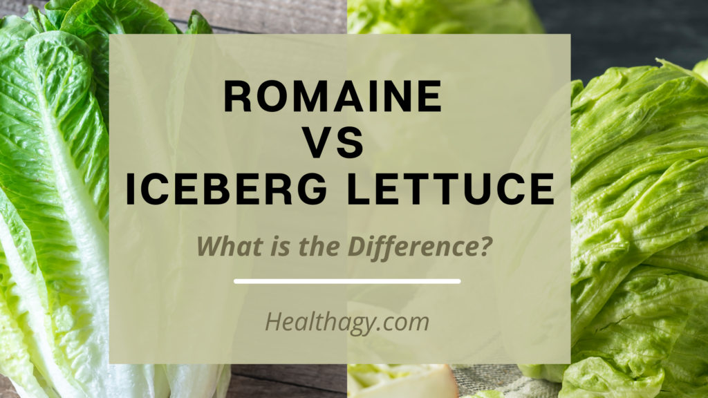 romaine vs iceberg lettuce nutritional value