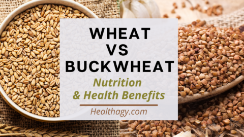 Wheat vs Buckwheat: Nutrition & Health Benefits - Healthagy