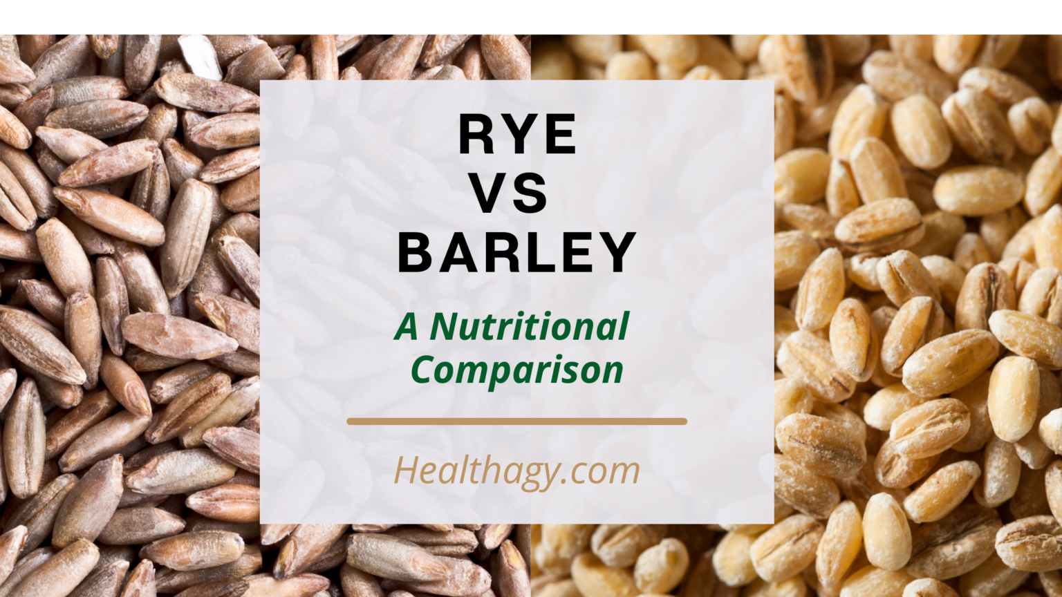 Rye Vs Barley Which Grain Is More Nutritious Healthagy